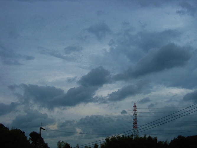 c0173697_014371.jpg