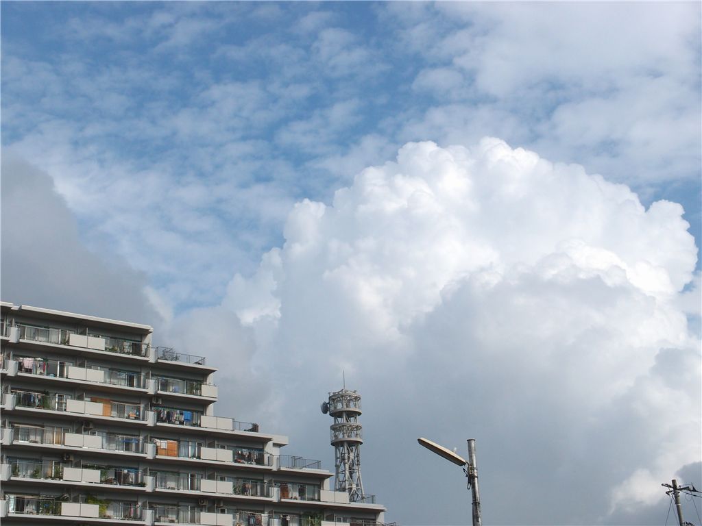 f0224100_893710.jpg