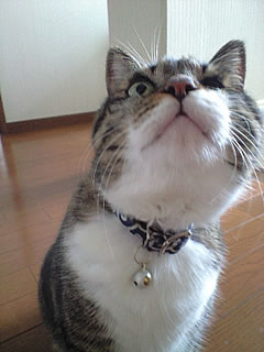 c0035001_2014262.jpg