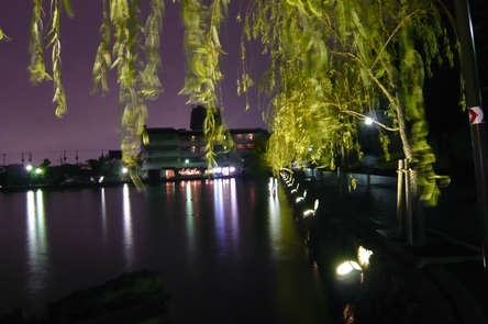 f0221708_1485981.jpg