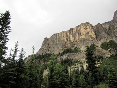 b0051109_1057741.jpg