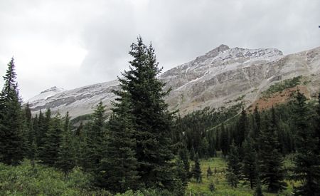 b0051109_11028.jpg