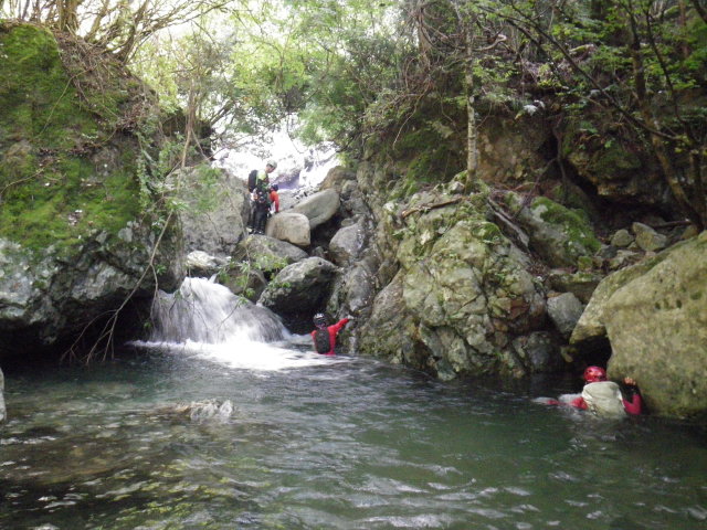 d0006512_10101446.jpg