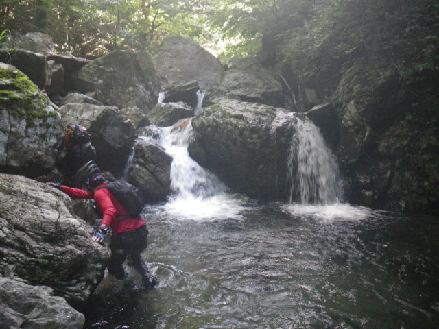 d0006512_10105050.jpg