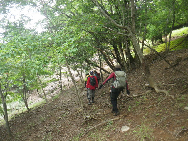 d0006512_10124927.jpg