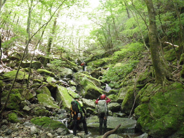 d0006512_1012633.jpg