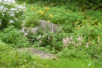 c0076218_044560.jpg