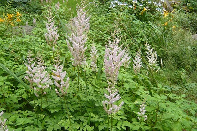 c0076218_0535223.jpg