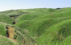 c0223419_1464341.jpg