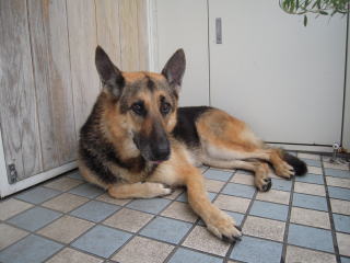 c0090220_12252068.jpg