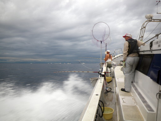 b0054622_16215724.jpg