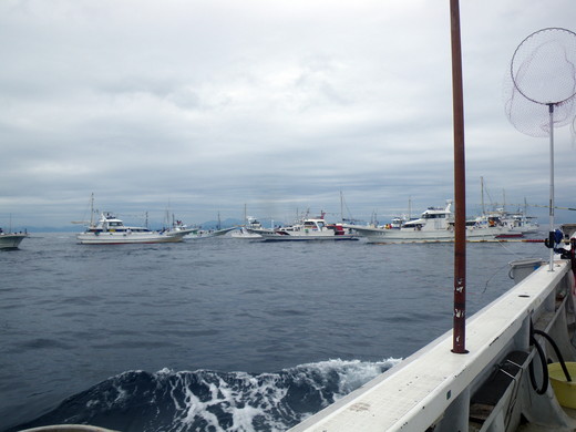 b0054622_16225529.jpg