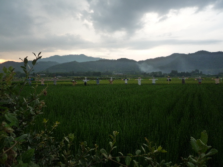 c0223422_955426.jpg