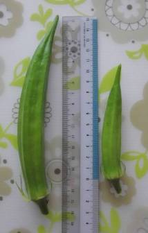 b0181524_2319884.jpg