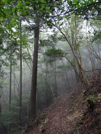c0189724_22574228.jpg