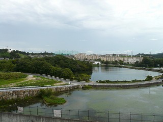 c0148425_13185721.jpg