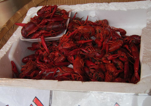f0147025_20553440.jpg