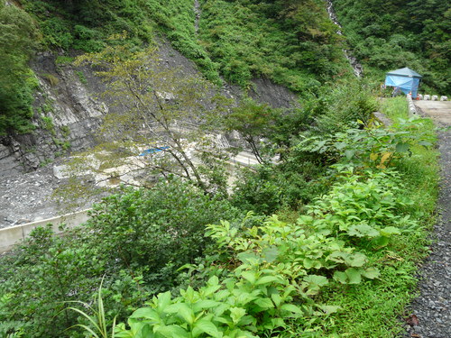 e0147226_2239890.jpg