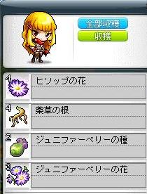 f0062430_9192826.jpg
