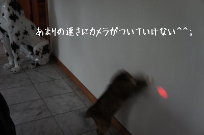e0134032_14581437.jpg