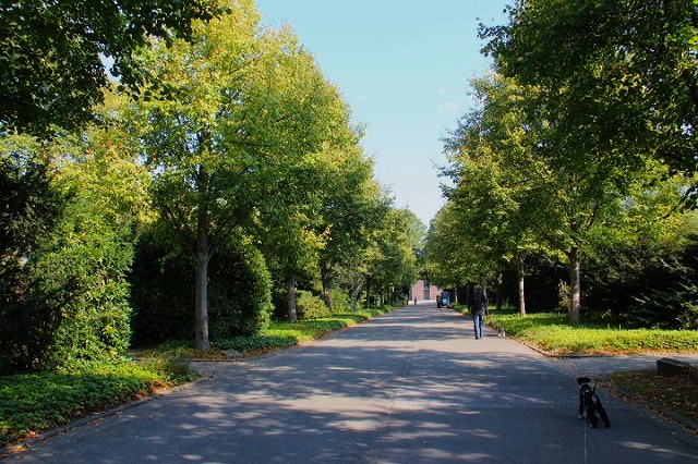 c0153740_18204345.jpg