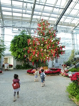 e0214646_1110342.jpg