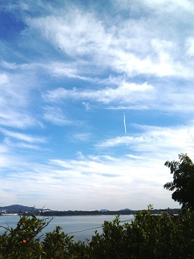 e0214646_1184896.jpg