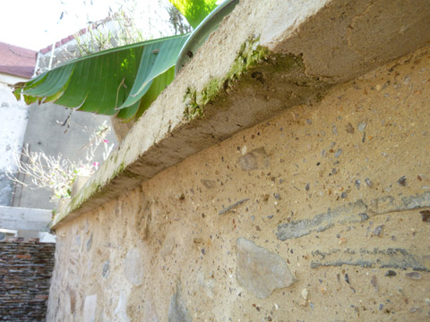 b0069848_3261320.jpg
