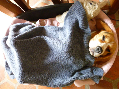 b0069848_3304597.jpg