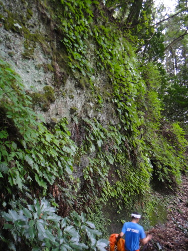 c0179351_20591394.jpg