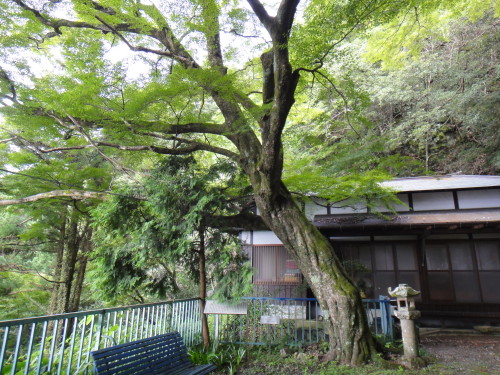 c0179351_2135293.jpg
