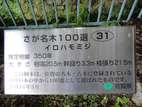 c0179351_2151890.jpg
