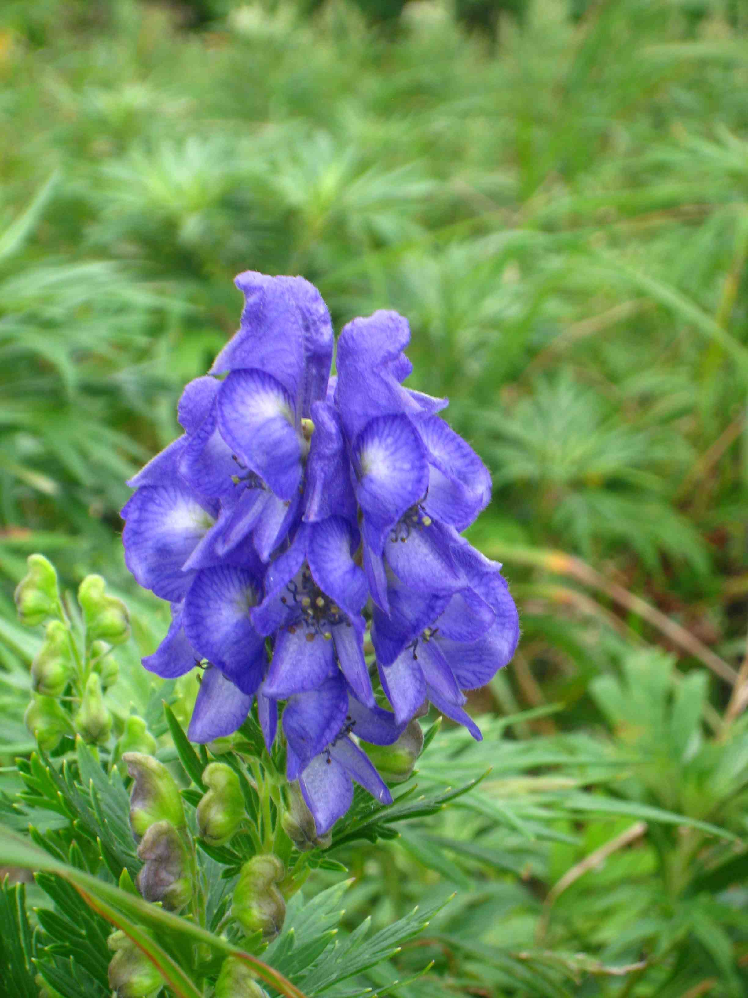 f0233356_12444187.jpg