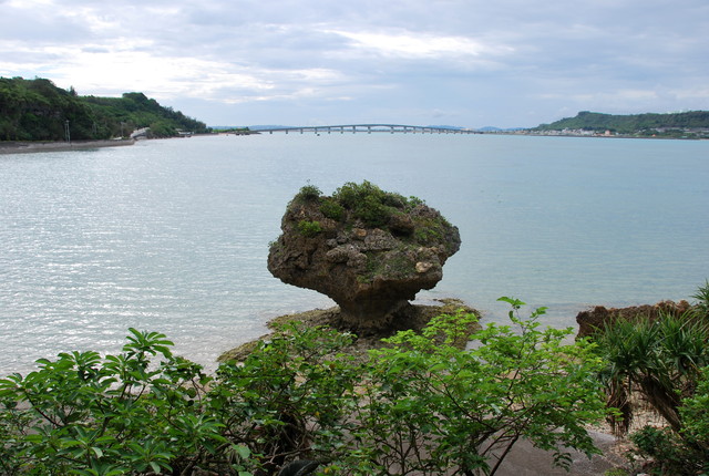 b0174068_0332483.jpg