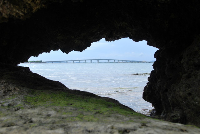 b0174068_033274.jpg