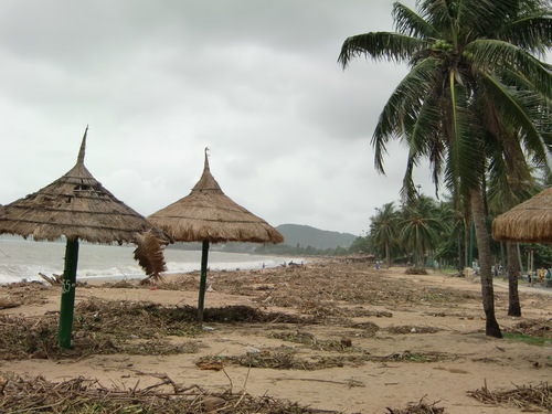 f0225473_2036594.jpg