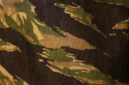 c0146178_11554046.jpg