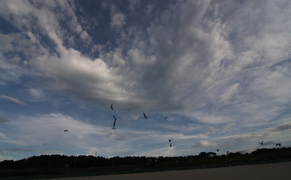 d0152182_20163637.jpg