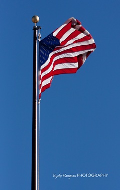 e0148185_1038829.jpg