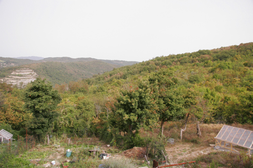 f0106597_1732282.jpg