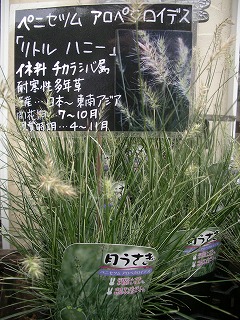 c0190010_17191049.jpg