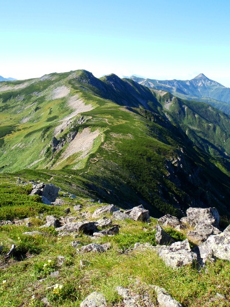 c0177814_1181064.jpg