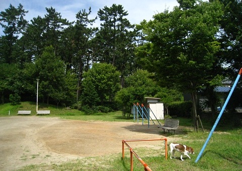 c0084117_17185829.jpg