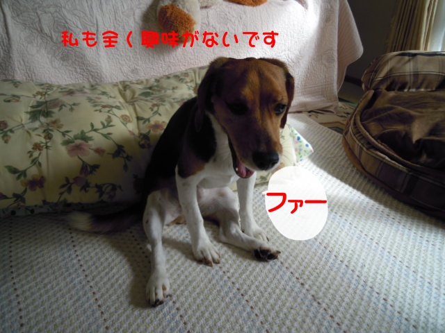 c0166622_22543616.jpg