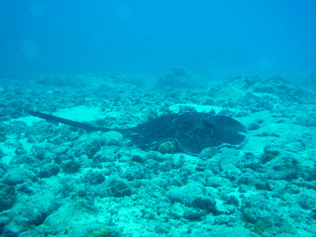 c0223422_19251855.jpg