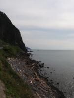 d0235522_19443222.jpg