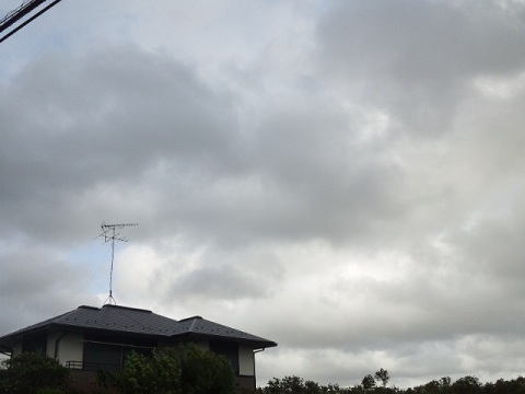 b0199924_1532984.jpg