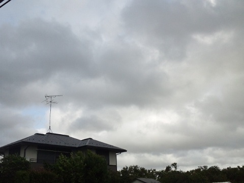 b0199924_1533522.jpg