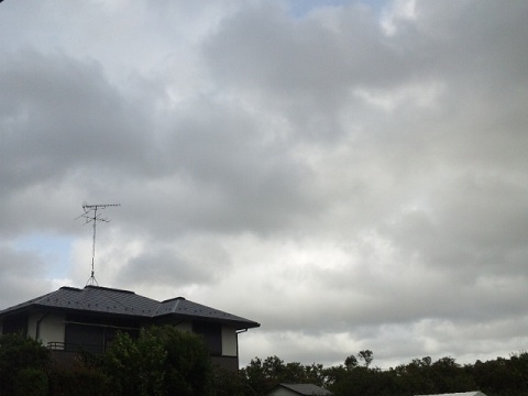 b0199924_153381.jpg