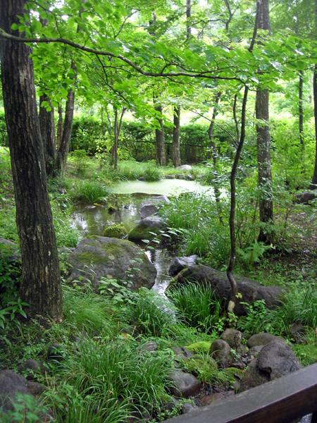 d0077225_18254051.jpg